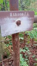 Захоронение ID 1295352