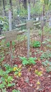 Захоронение ID 1295424