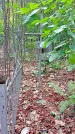Захоронение ID 1295430