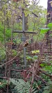 Захоронение ID 1295440