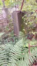 Захоронение ID 1295441