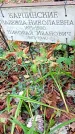 Захоронение ID 1295445