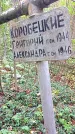 Захоронение ID 1295497