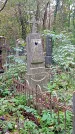 Захоронение ID 1295499