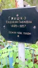 Захоронение ID 1295532