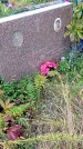 Захоронение ID 1295788