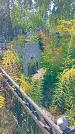 Захоронение ID 1295914