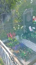 Захоронение ID 1295933