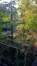 Захоронение ID 1296000
