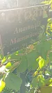 Захоронение ID 1296001