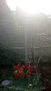 Захоронение ID 1296007