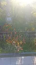 Захоронение ID 1296054