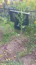 Захоронение ID 1296064