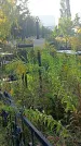 Захоронение ID 1296073
