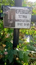 Захоронение ID 1296082