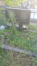Захоронение ID 1296086