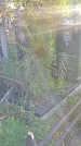 Захоронение ID 1296157