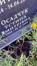 Захоронение ID 1296162