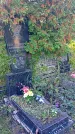 Захоронение ID 1296169
