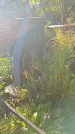 Захоронение ID 1296176