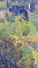 Захоронение ID 1296204