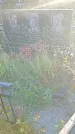 Захоронение ID 1296250
