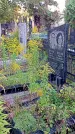 Захоронение ID 1296300