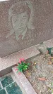 Захоронение ID 1296380