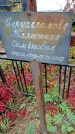 Захоронение ID 1296411
