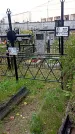 Захоронение ID 1296419