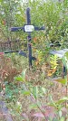 Захоронение ID 1296454