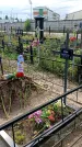 Захоронение ID 1296476