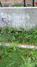 Захоронение ID 1296487