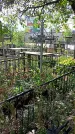Захоронение ID 1296492