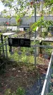 Захоронение ID 1296494