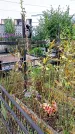 Захоронение ID 1296514