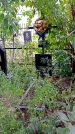 Захоронение ID 1296526