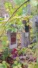 Захоронение ID 1296717