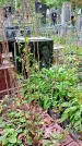 Захоронение ID 1296849