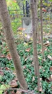 Захоронение ID 1296891