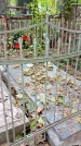 Захоронение ID 1297495