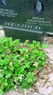 Захоронение ID 1297582