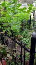 Захоронение ID 1297650