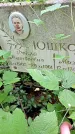 Захоронение ID 1297651