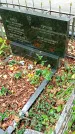 Захоронение ID 1297696