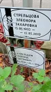 Захоронение ID 1297702