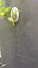 Захоронение ID 1297754