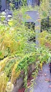 Захоронение ID 1297994