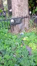 Захоронение ID 1298019