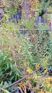 Захоронение ID 1298080